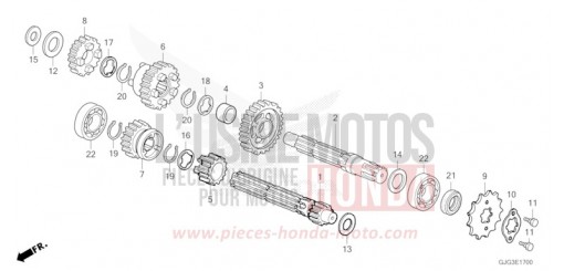BOITE DE VITESSES CRF50FP de 2023